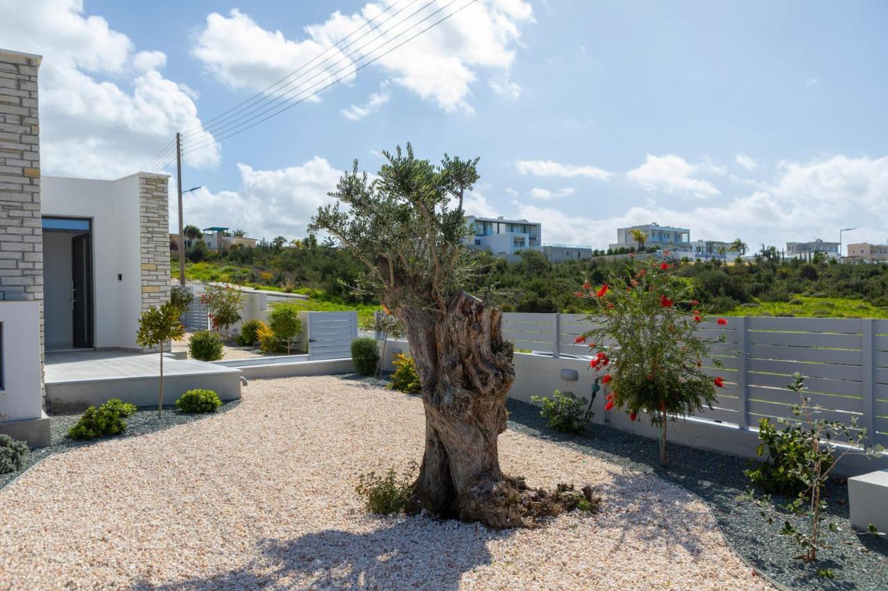 Paphos Villa Adaris, Sea Caves Peyia מראה חיצוני תמונה